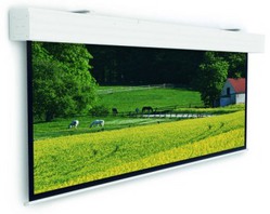  Projecta Elpro Large Electrol 316x500cm